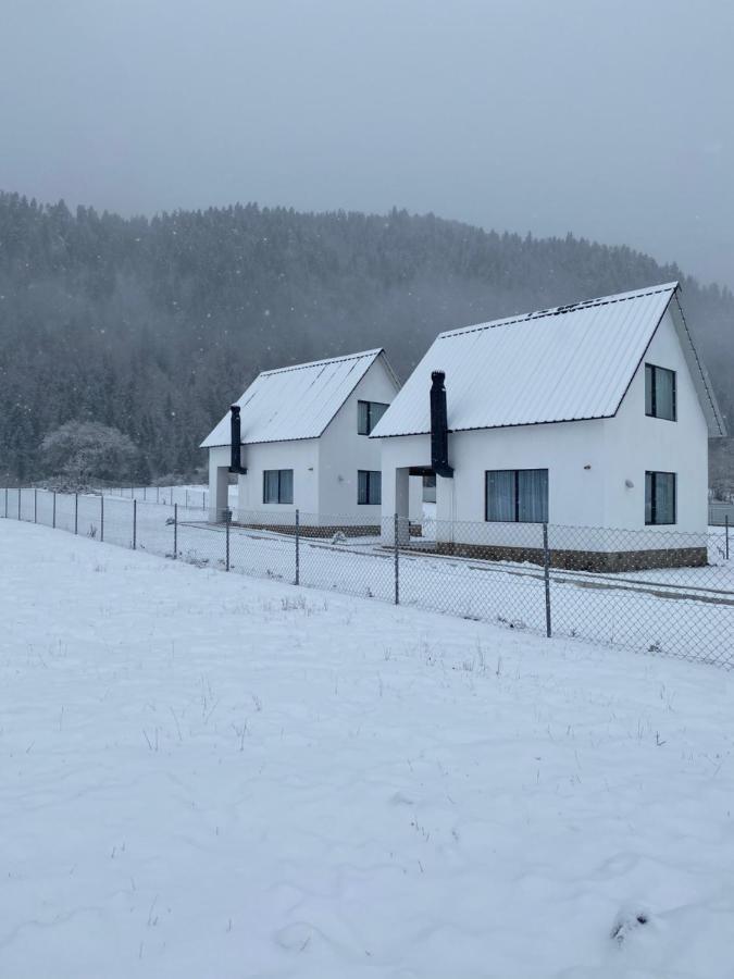 White House Near Borjomi Sadgeri Lägenhet Exteriör bild