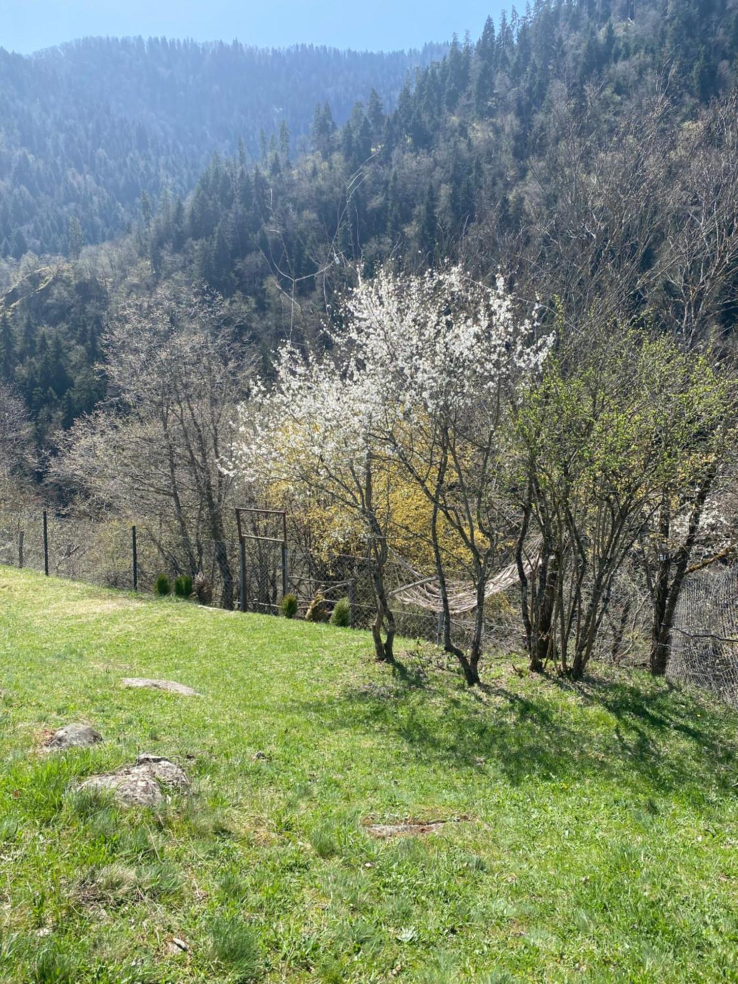 White House Near Borjomi Sadgeri Lägenhet Exteriör bild